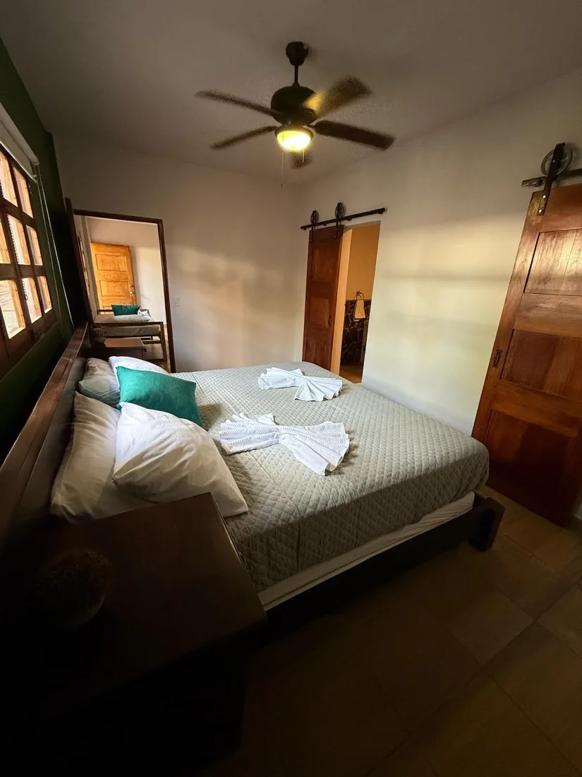 Junior Suite — king bed with a green accent wall