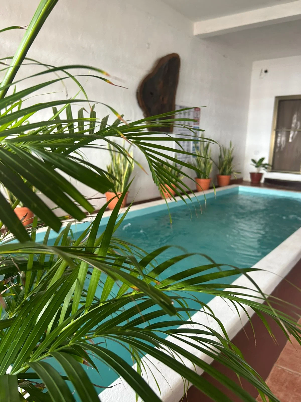 La piscina interior