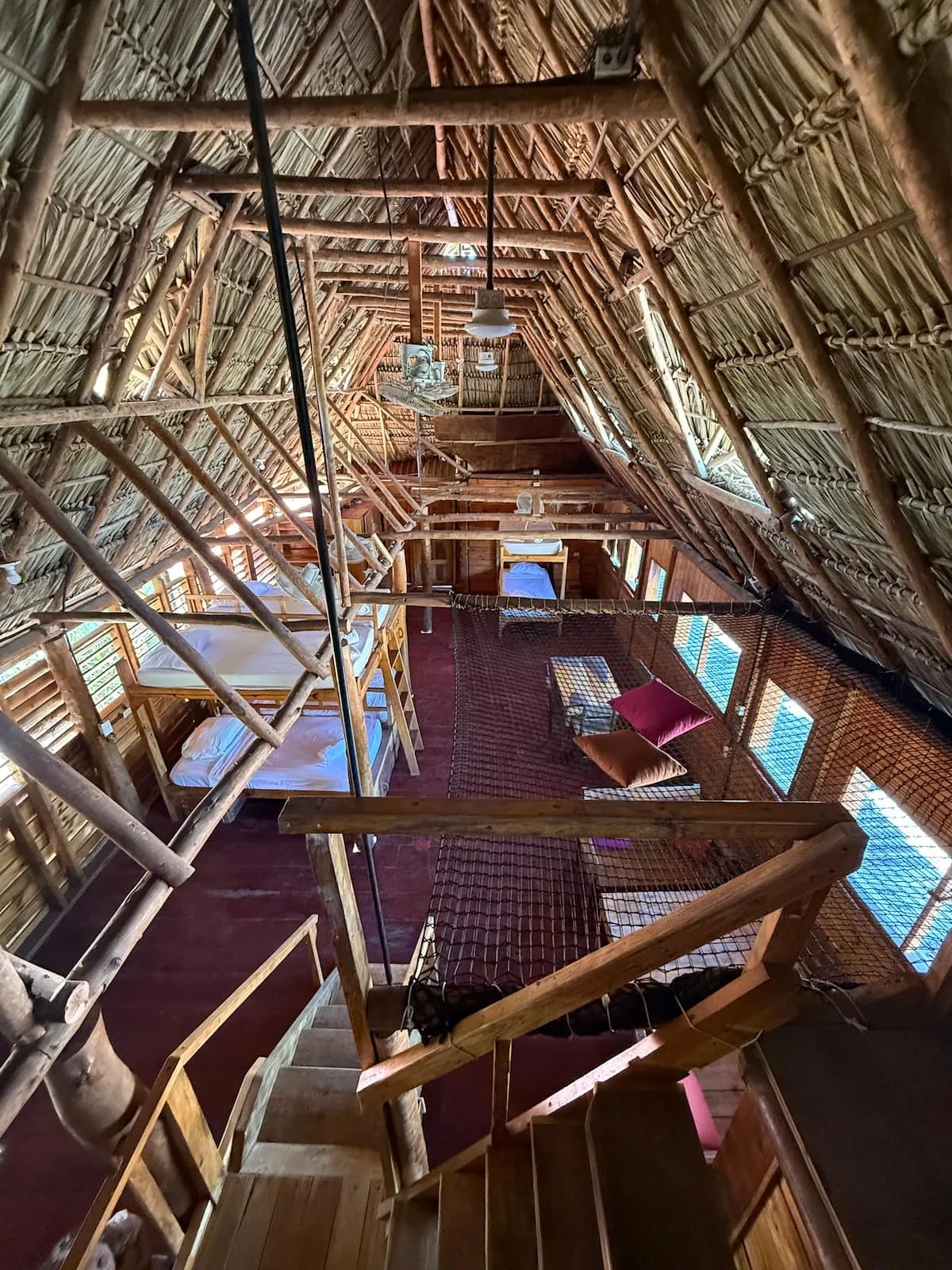 Suite 4 — la casa del árbol de palma